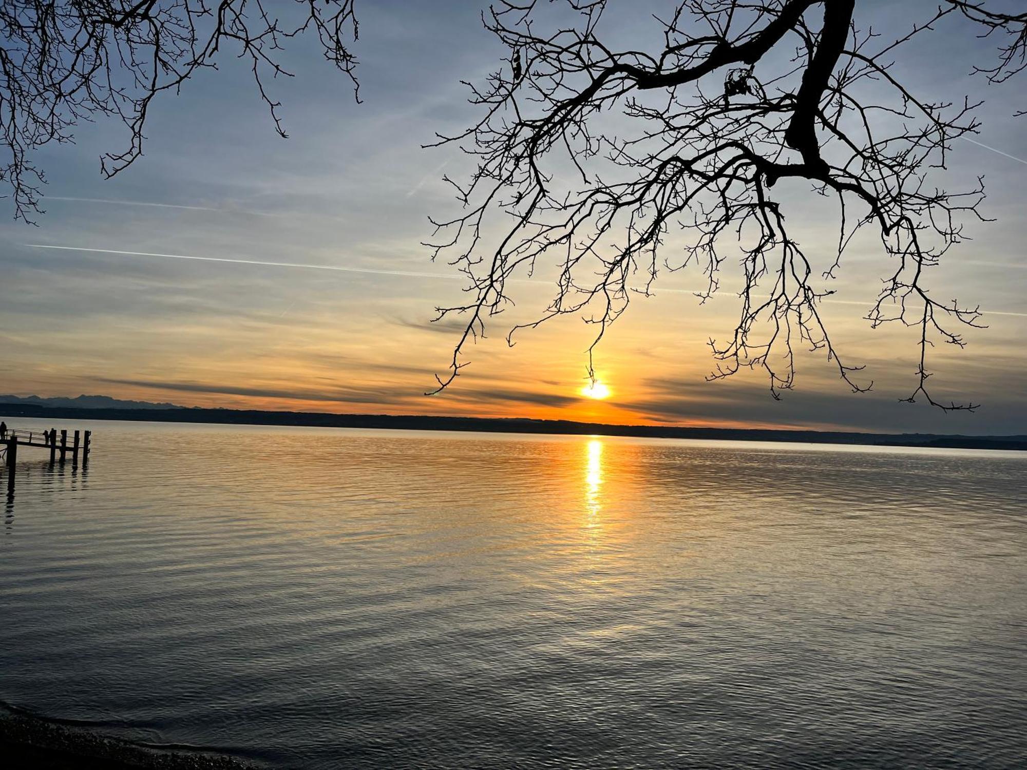 Gaestehaus Am Hafen Meersburg Eksteriør bilde